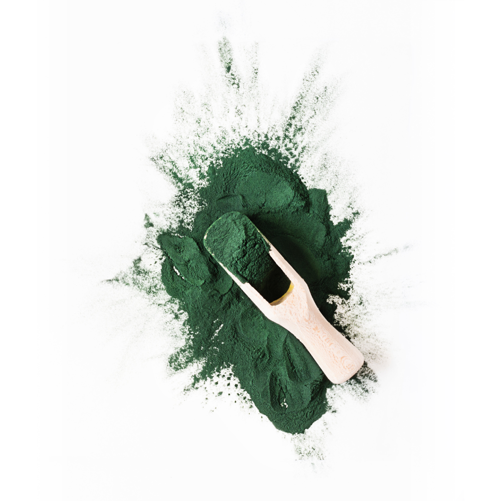 spirulina powder